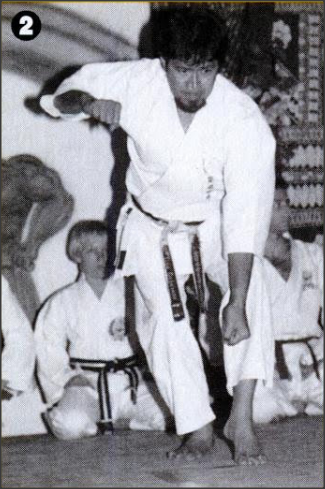 Tino Ceberano Hanshi IGK - Martial Arts Instructor